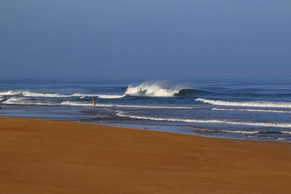 Ait Mouli Surf House Apartment Safi Bagian luar foto